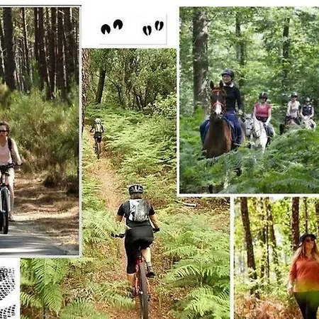 Σπίτι διακοπών Du Cache Labrit