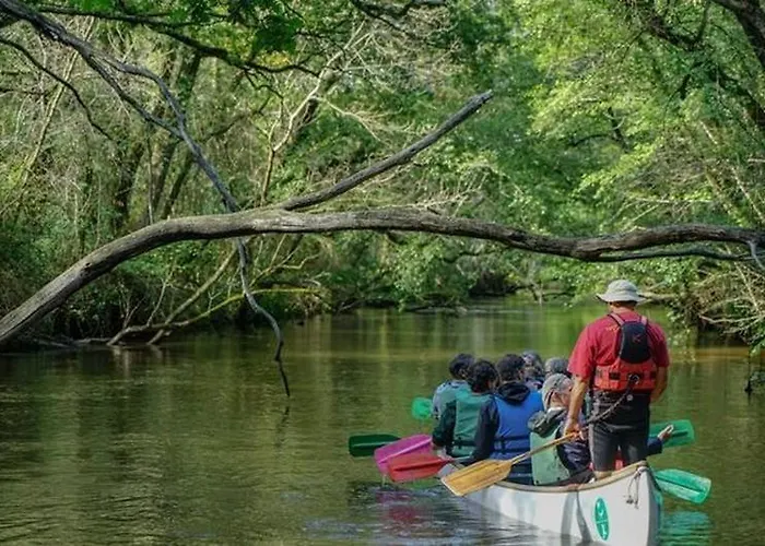 Du Cache Casa vacanze Labrit