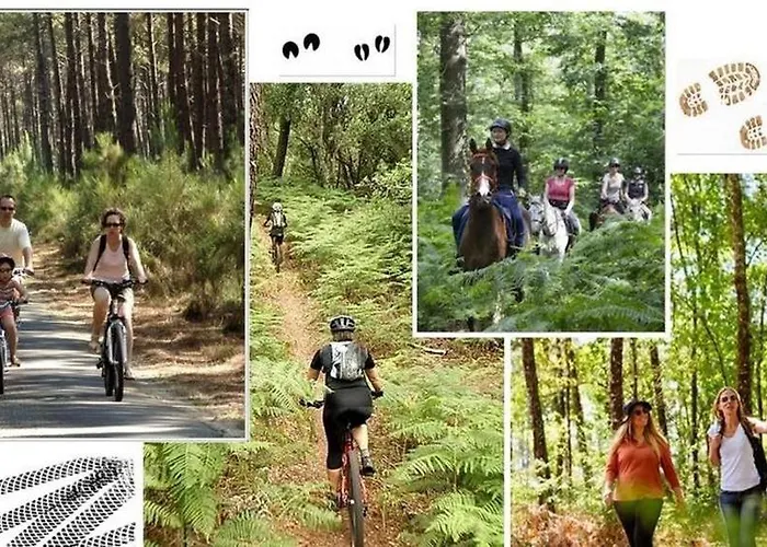 Casa vacanze Du Cache Labrit